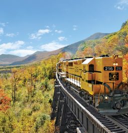 Hertiage train going through fall foliage scenery