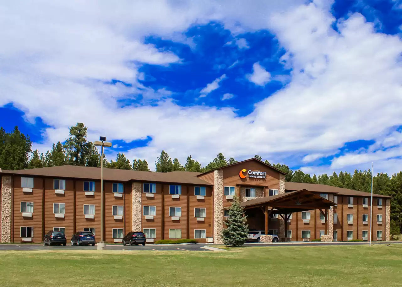 Scenic forest views near the best of the Black Hills