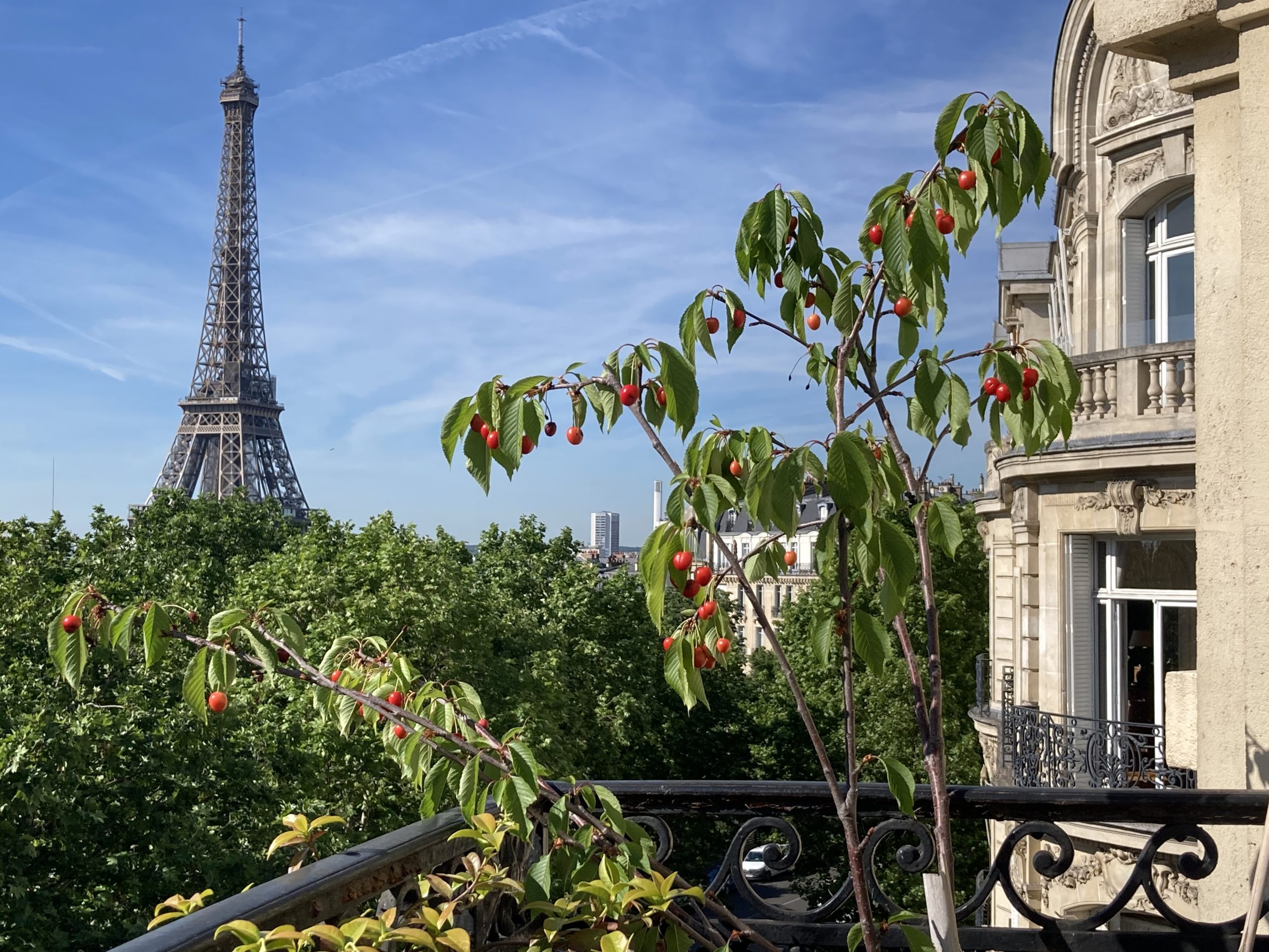 Apartment - Neymar - Eiffel Tower