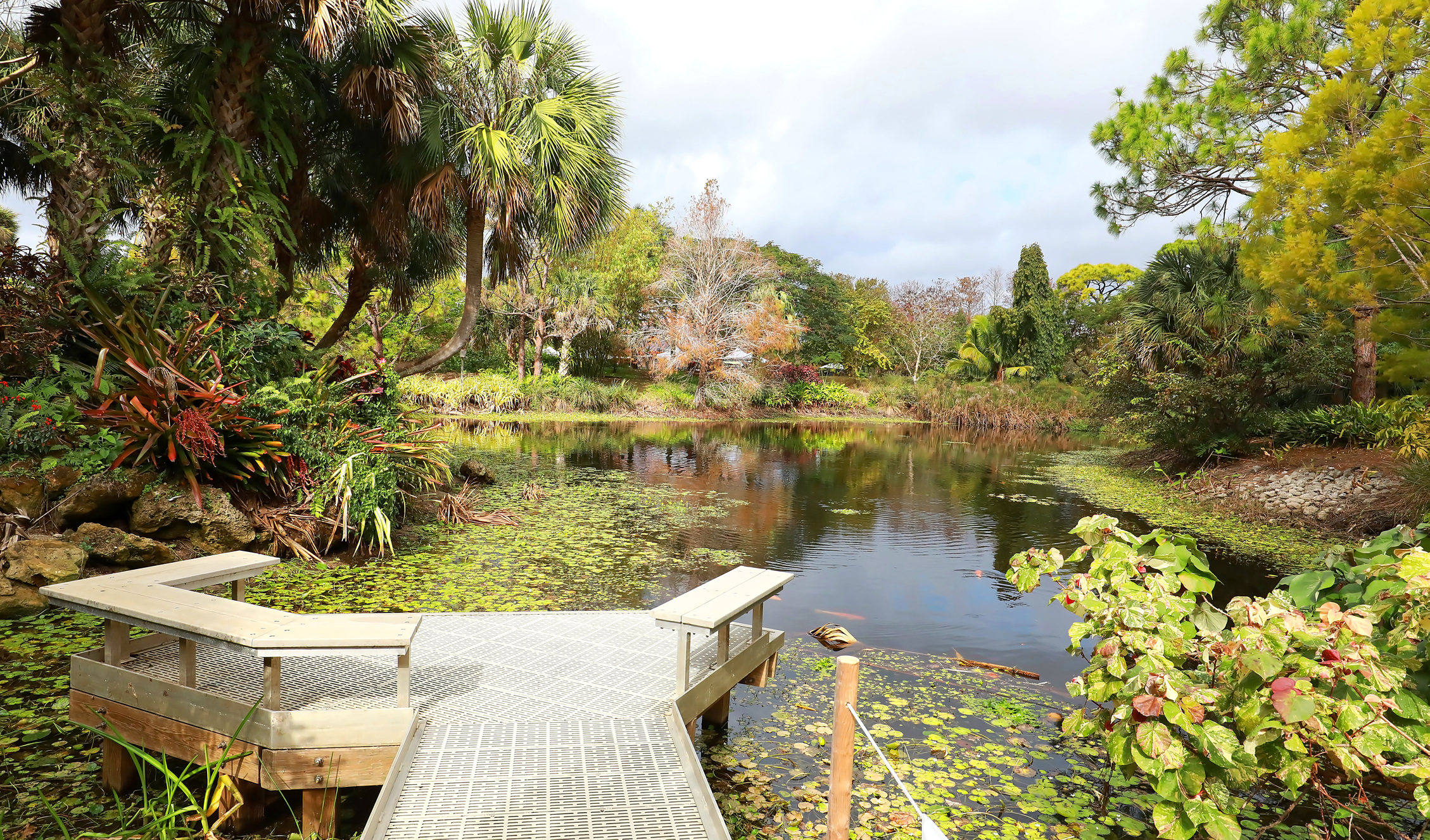 Beautiful vista views of Mounts Botanical Gardens