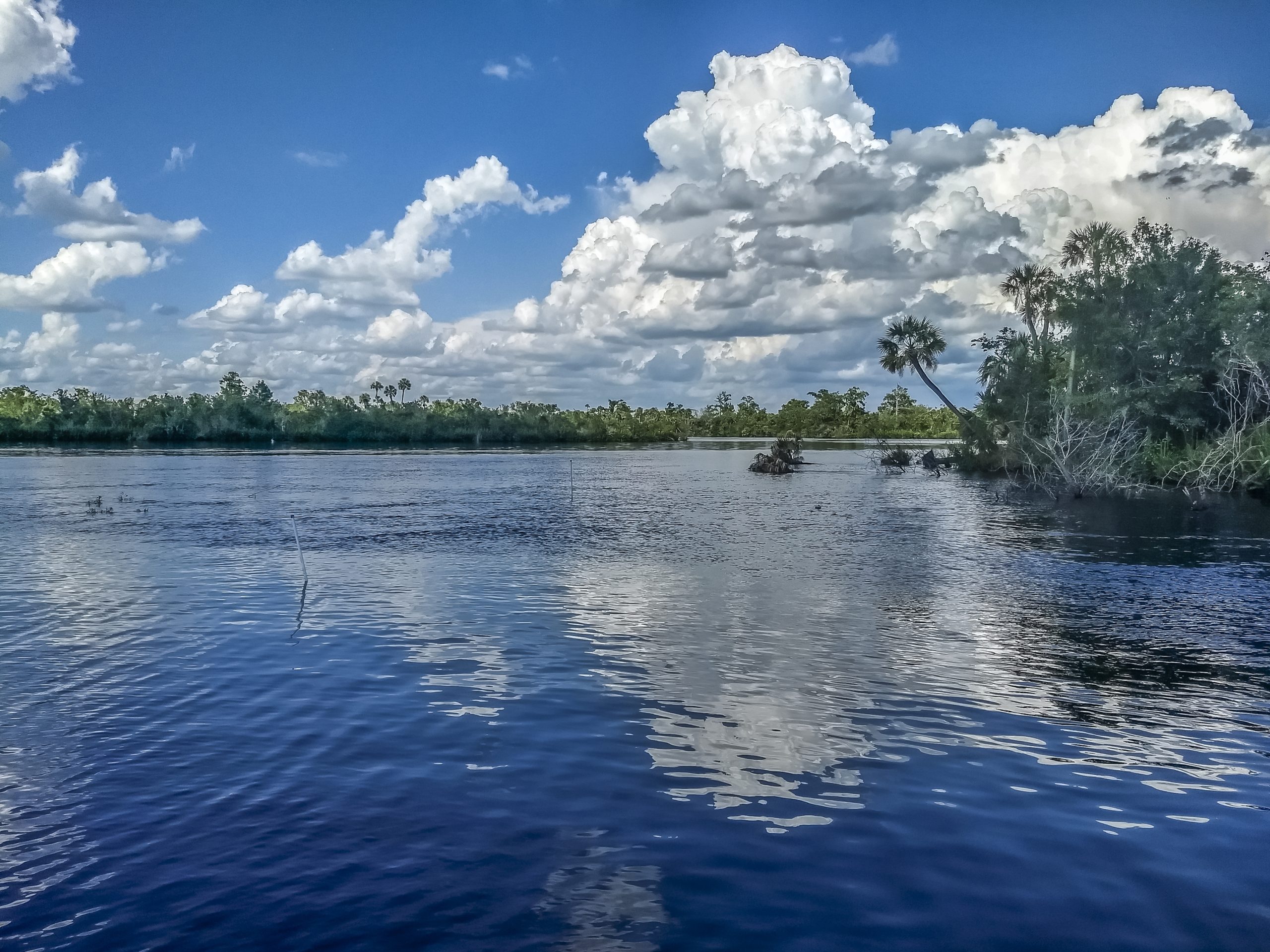 Peace River in North Port, Florida