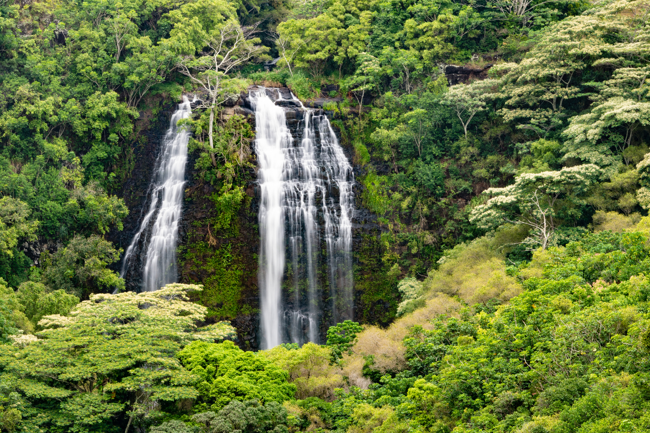 Opaekaa Falls in Kauai Hawaii