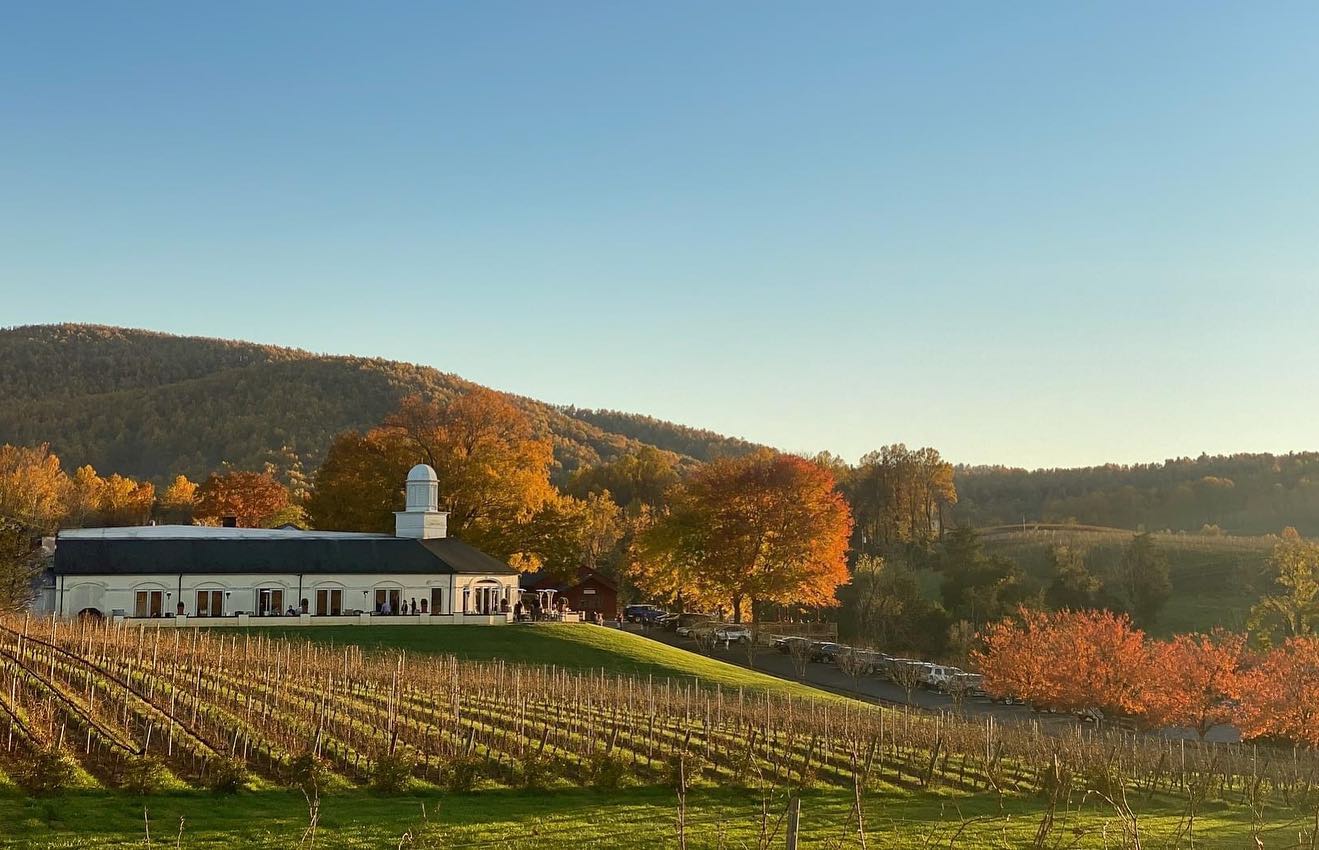 Barboursville Vineyards