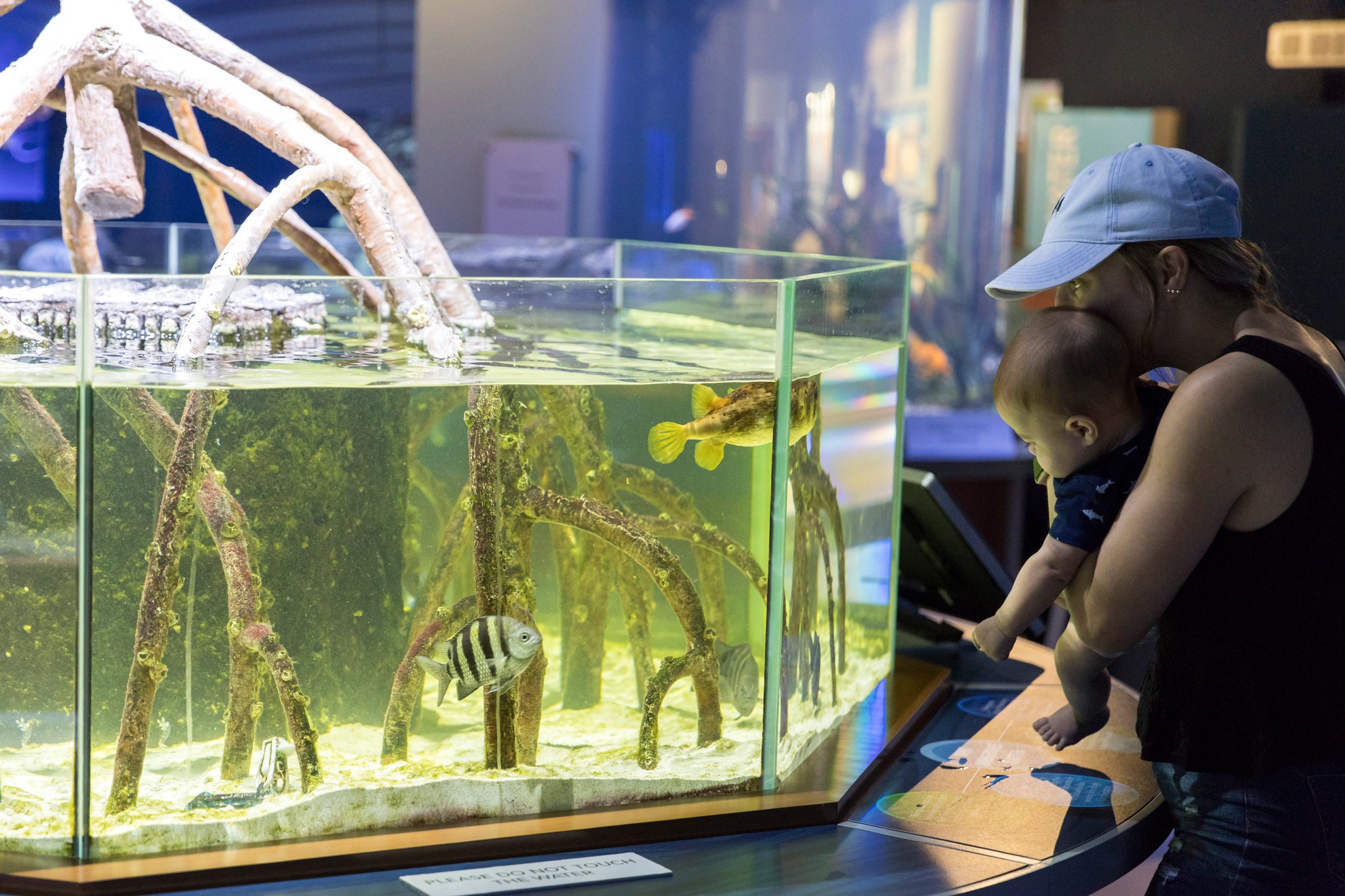 Learn something new at the Cox Science Center and Aquarium