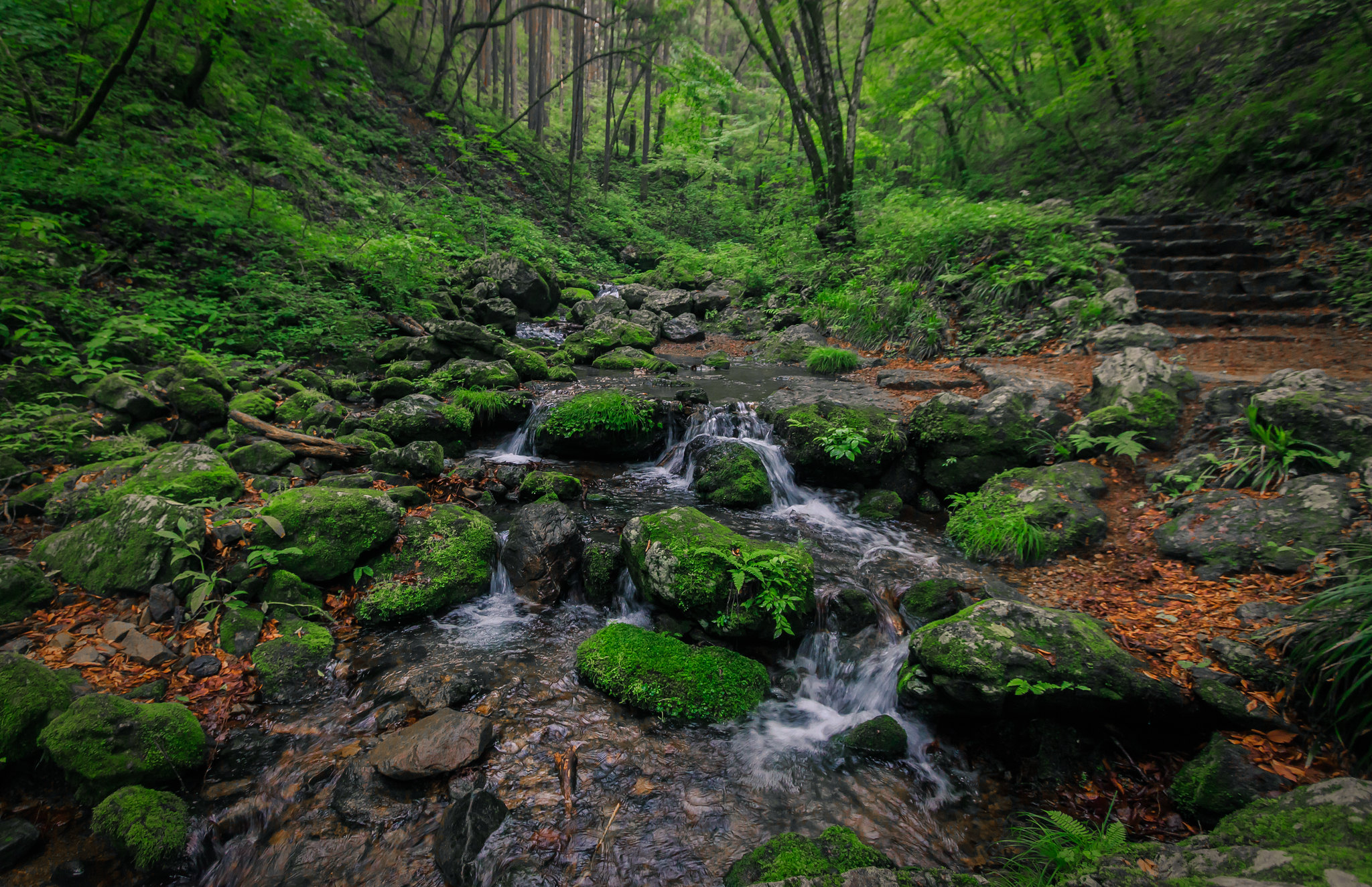 Chichibu Tama Kai National Park