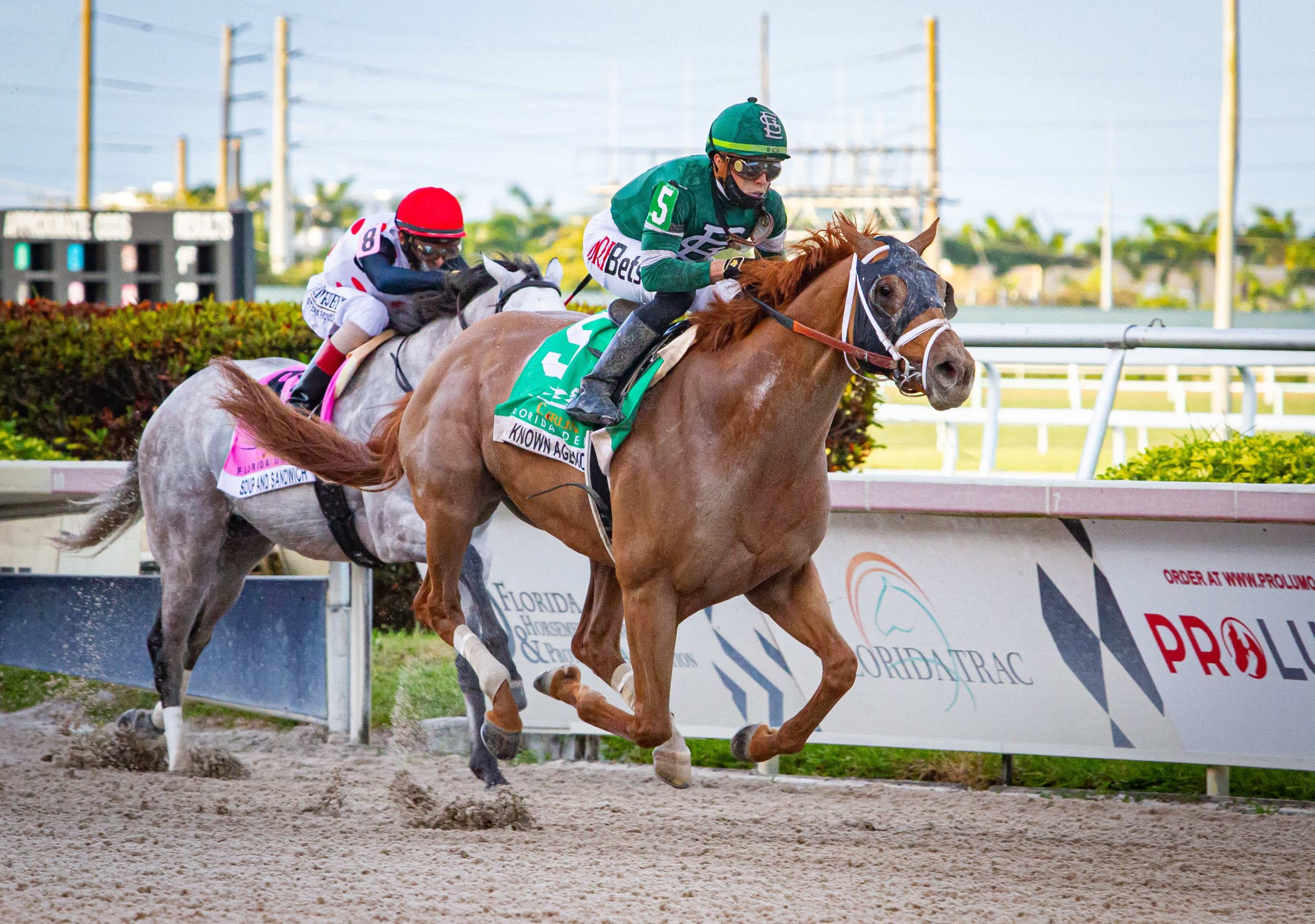 Place your bets at the Gulfstream Park