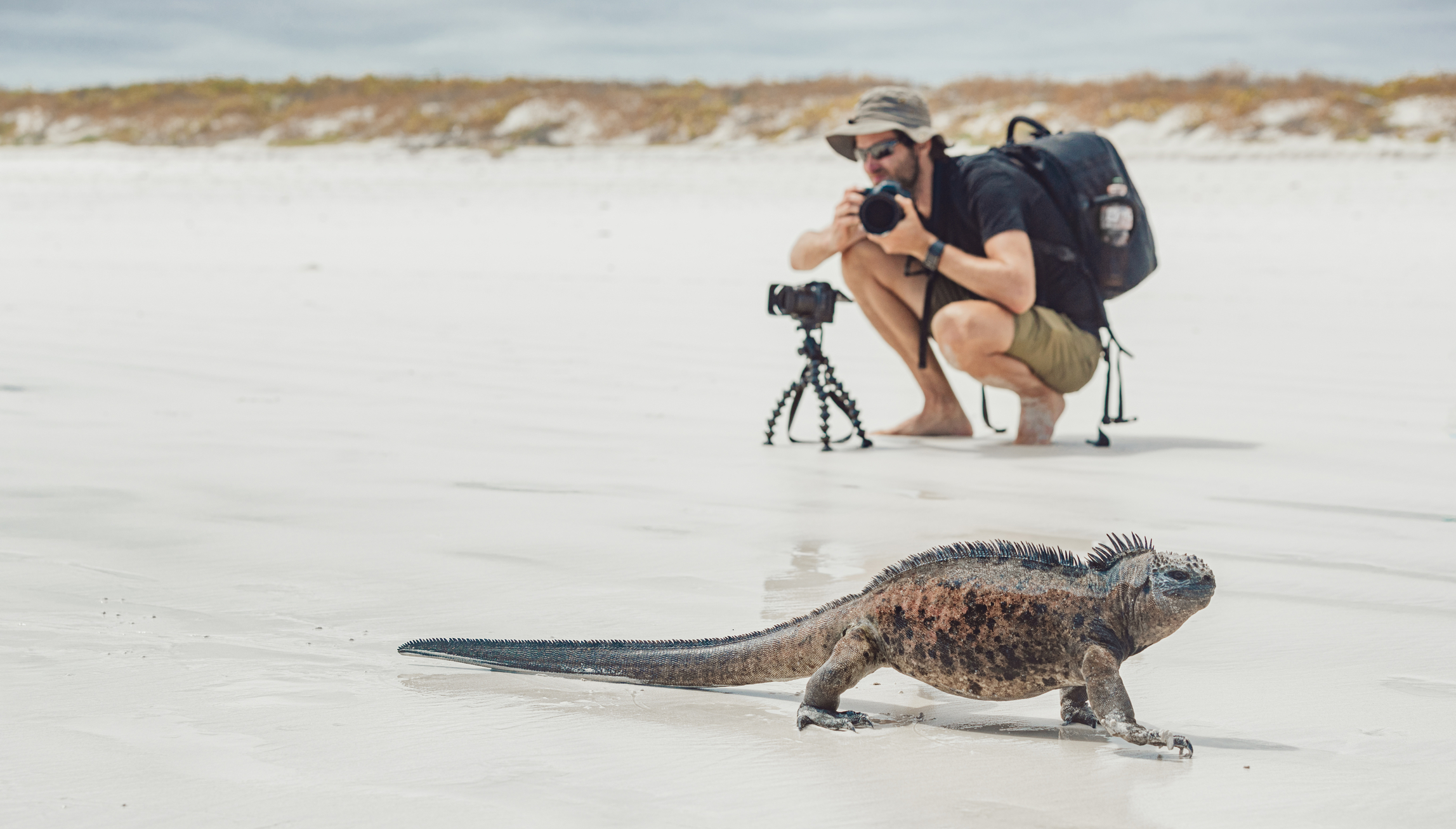 Tortuga Bay, Galapagos