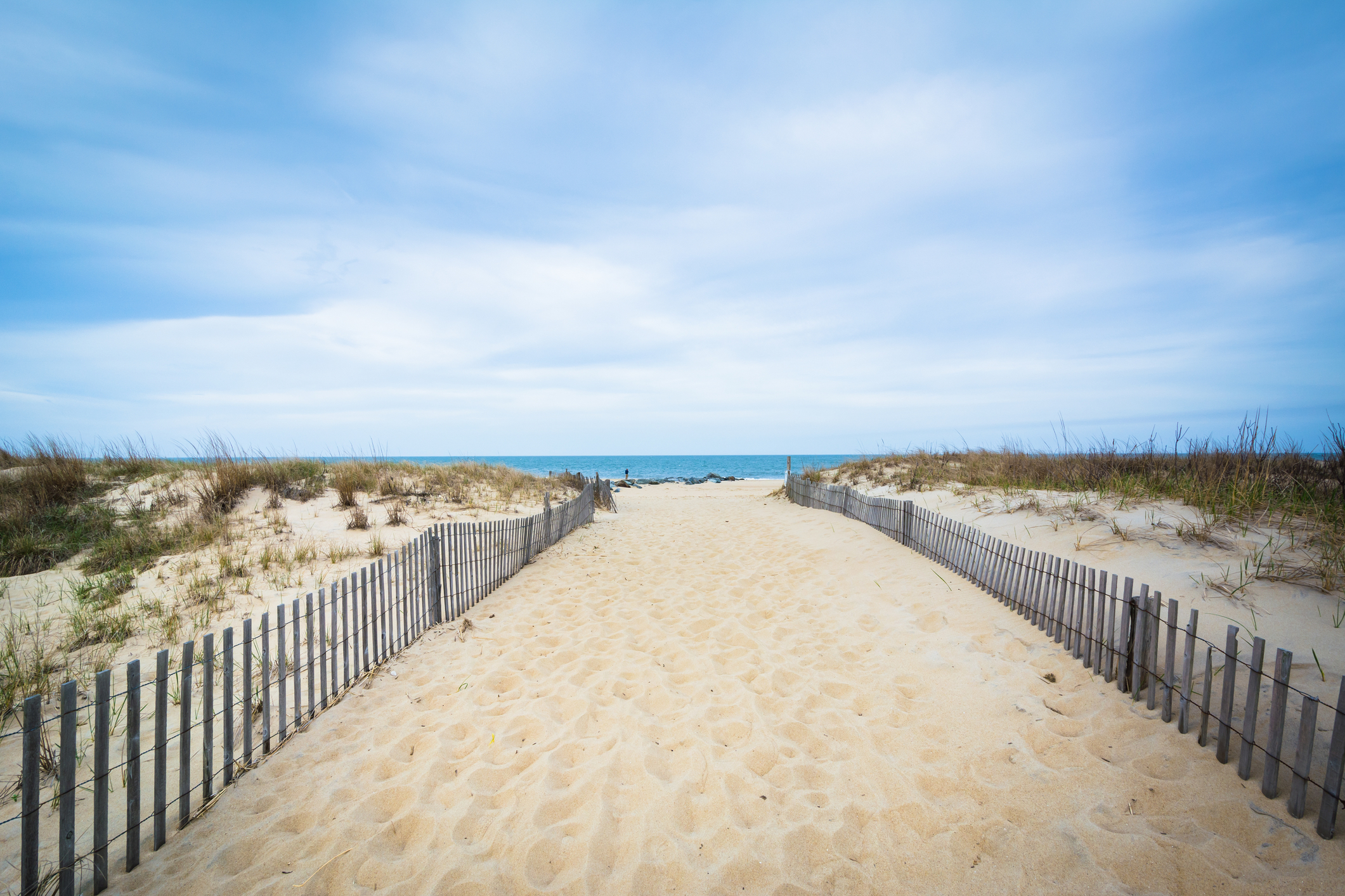 Path to the beach at Cape Henlopen State Park