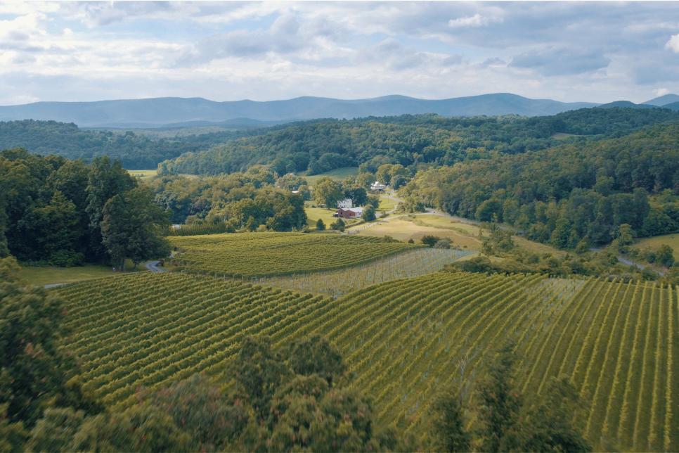 Shenandoah Valley Wine Trail