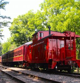 train on New Hope Railroad