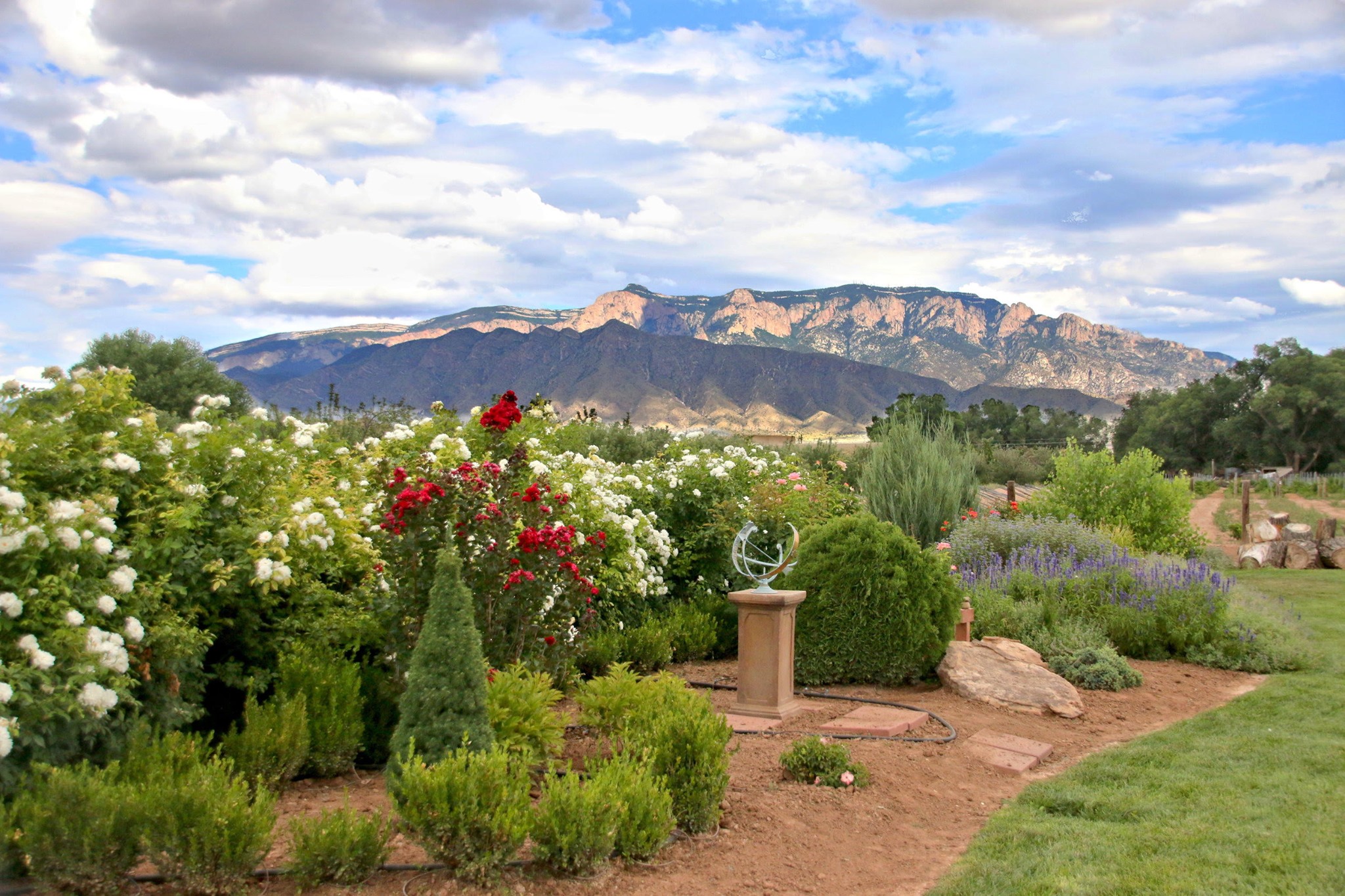 There are several beautiful wineries in Corrales