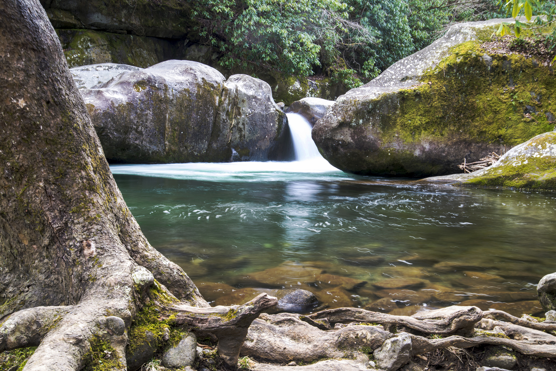 Midnight Hole in Great Smoky Mountains National Park