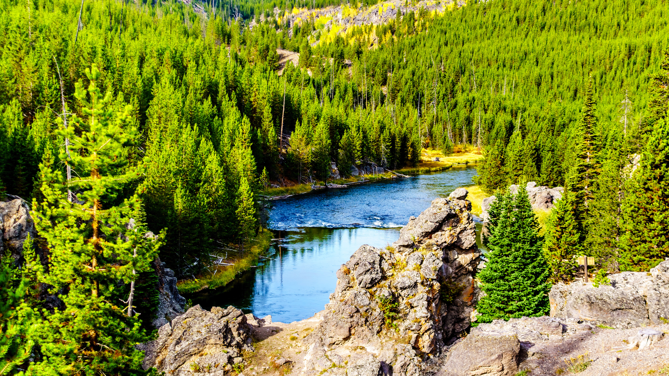 Firehole River in Yellowstone National Park