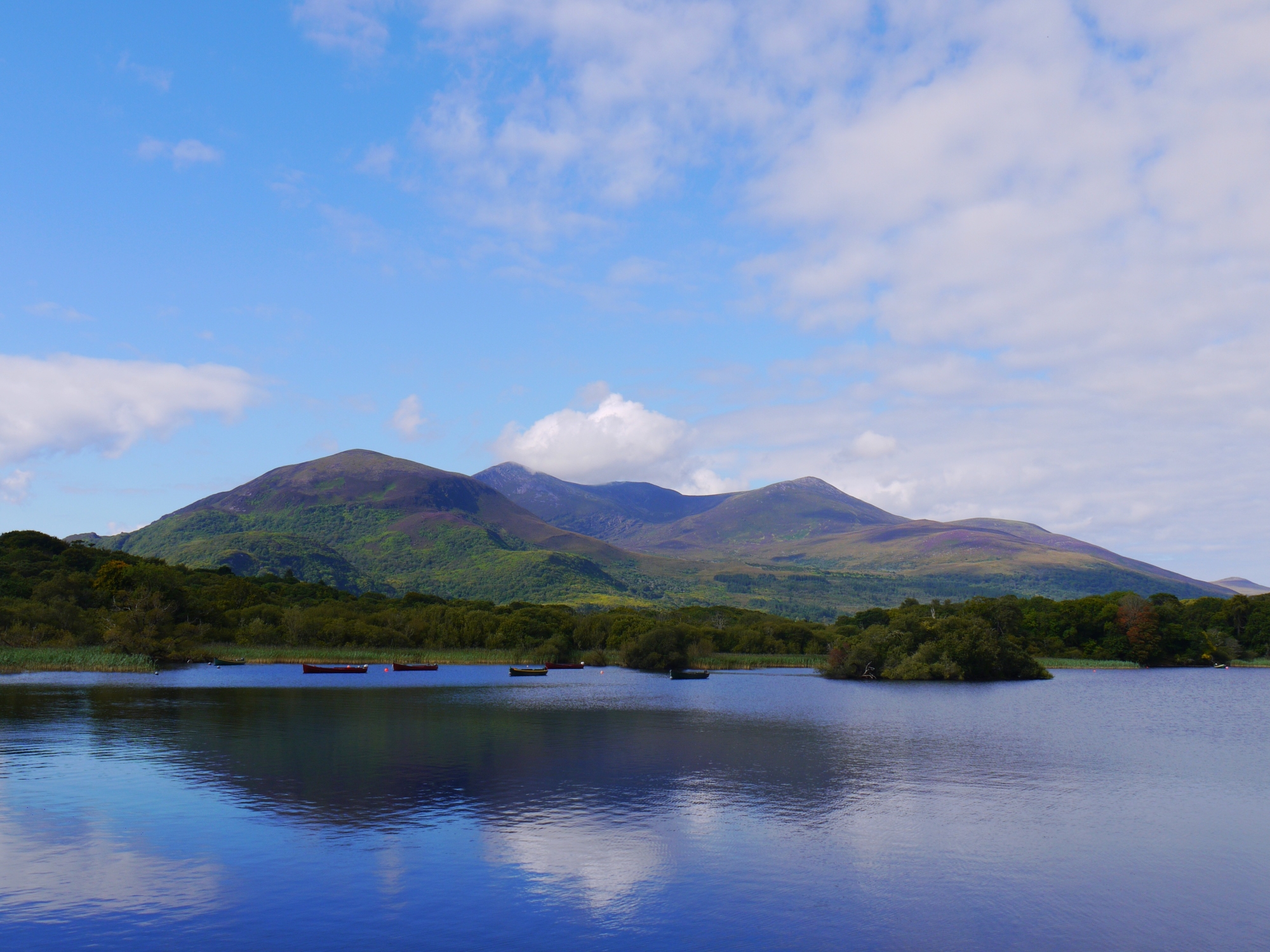 Killarney National Park, Ireland