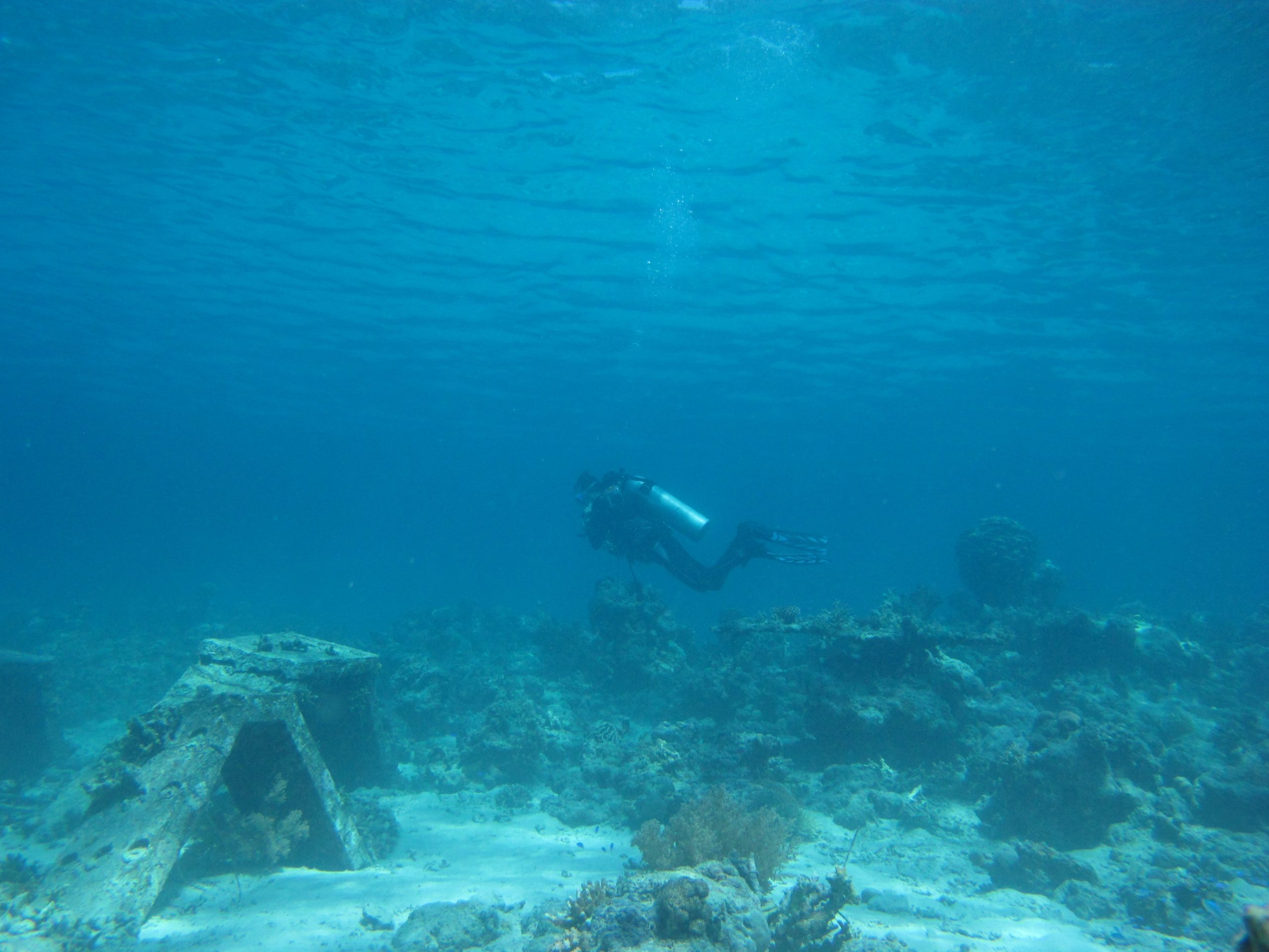 Menjangan Island