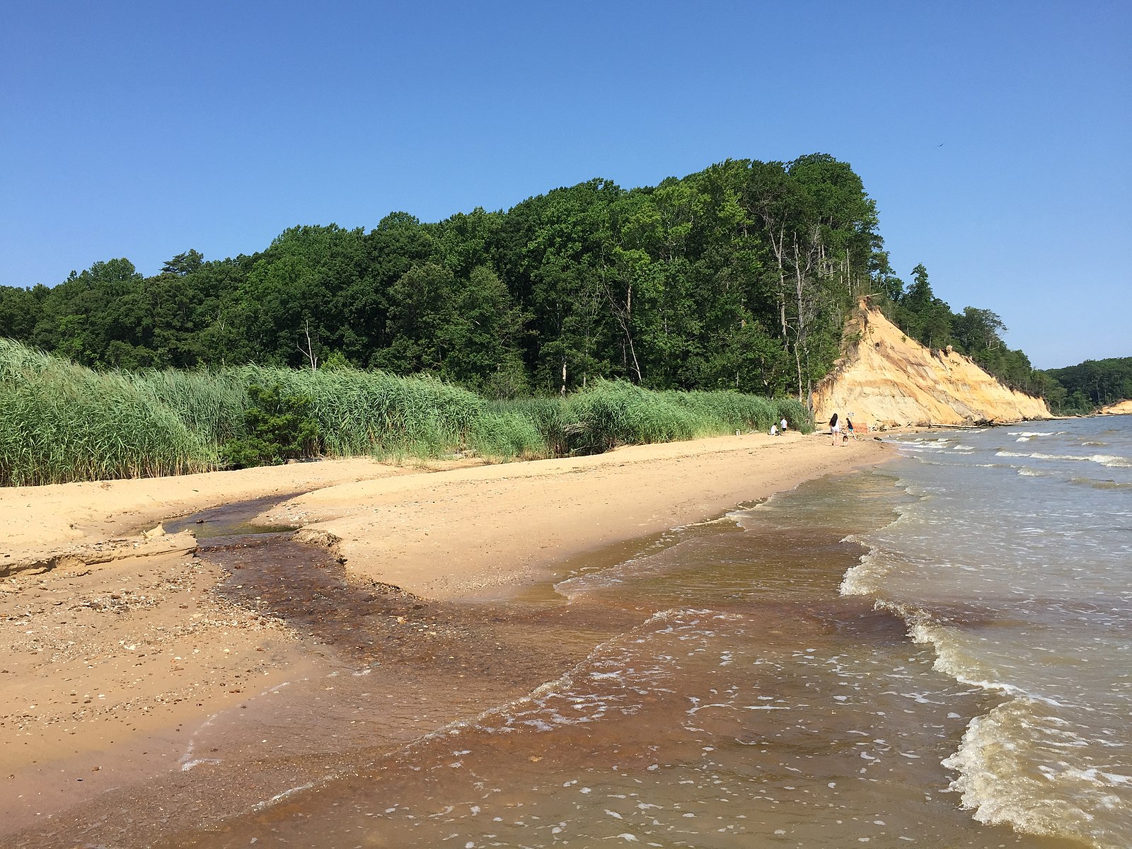 Calvert Cliffs State Park