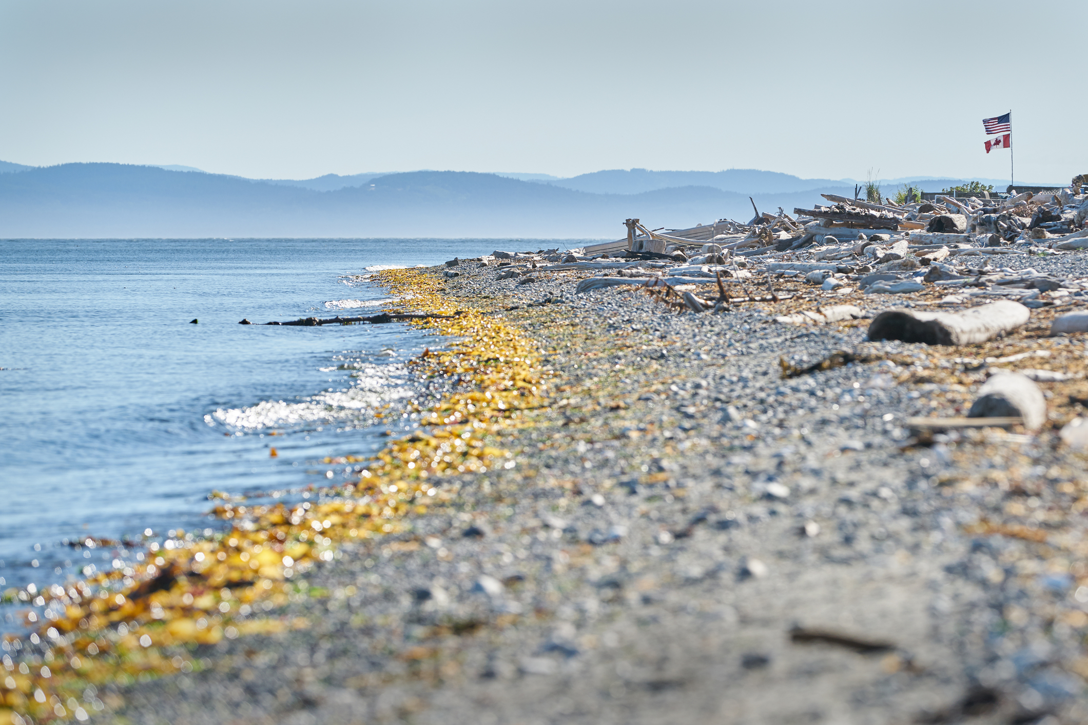 beach at Point Roberts, Washington