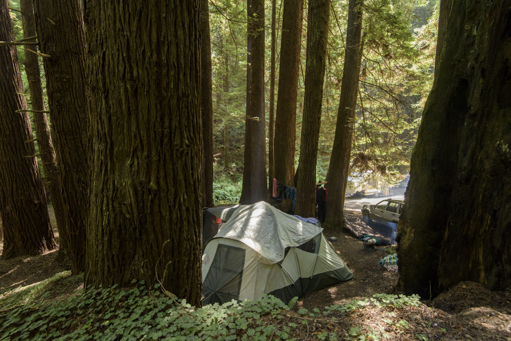 Sinkyone Wilderness State Park