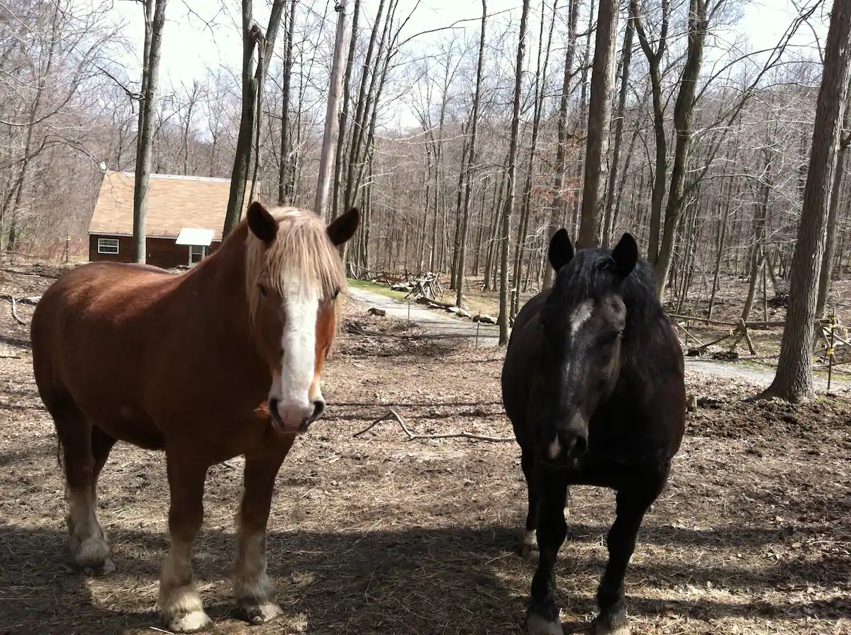 A private farm experience close to the state park