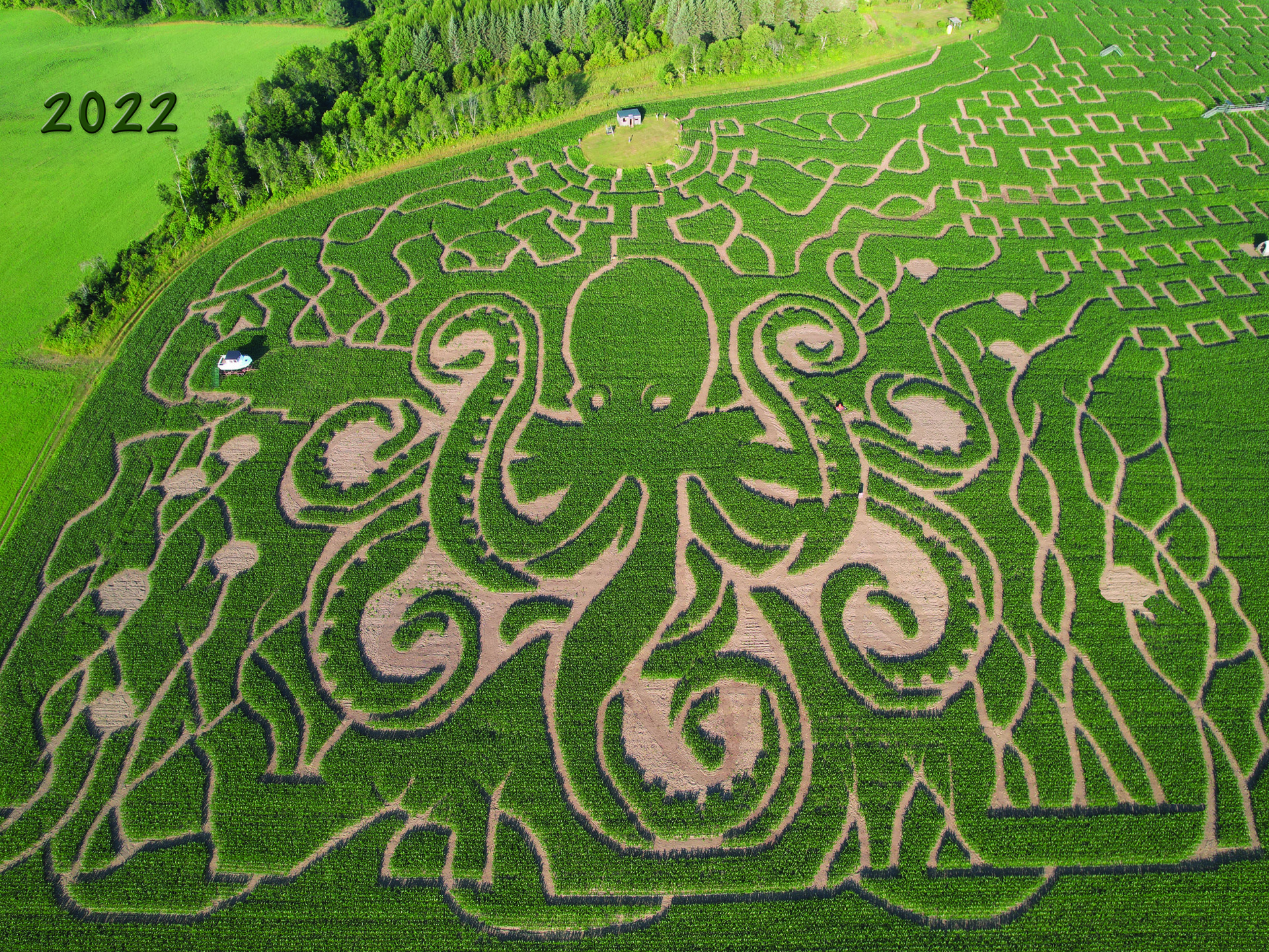 Great Vermont Corn Maze