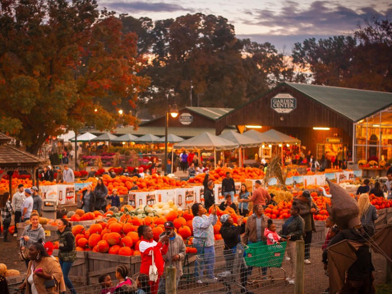 Linvilla Orchards