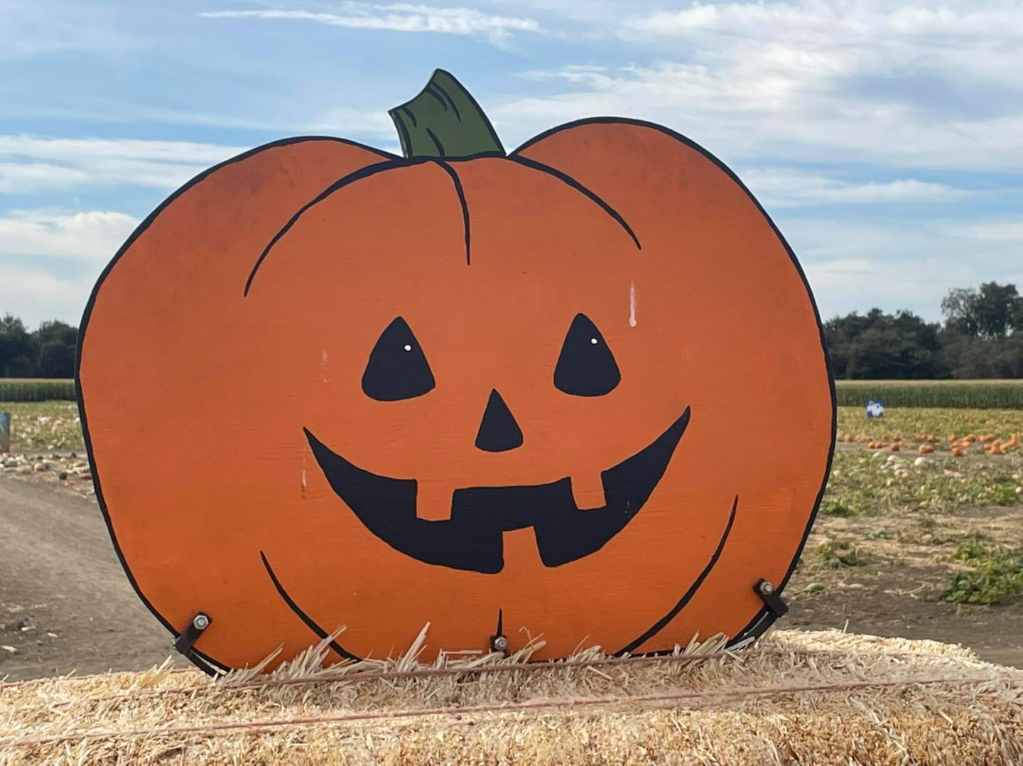 Bobby Dazzler's Pumpkin Patch & Christmas Trees