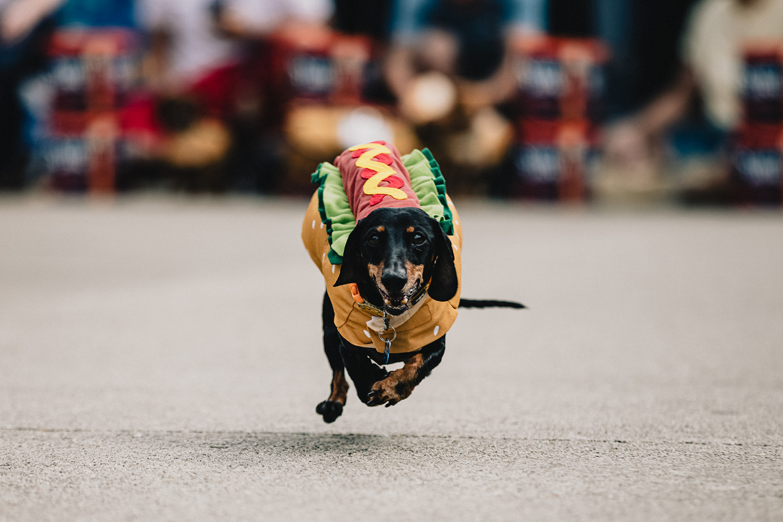 Oktoberfest Zinzinnati