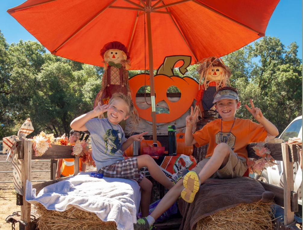 Jack and Noel's Pumpkin Patch, Redwood Valley