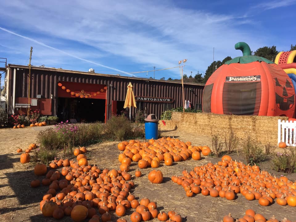 Pastorino's Farm, Half Moon Bay, California