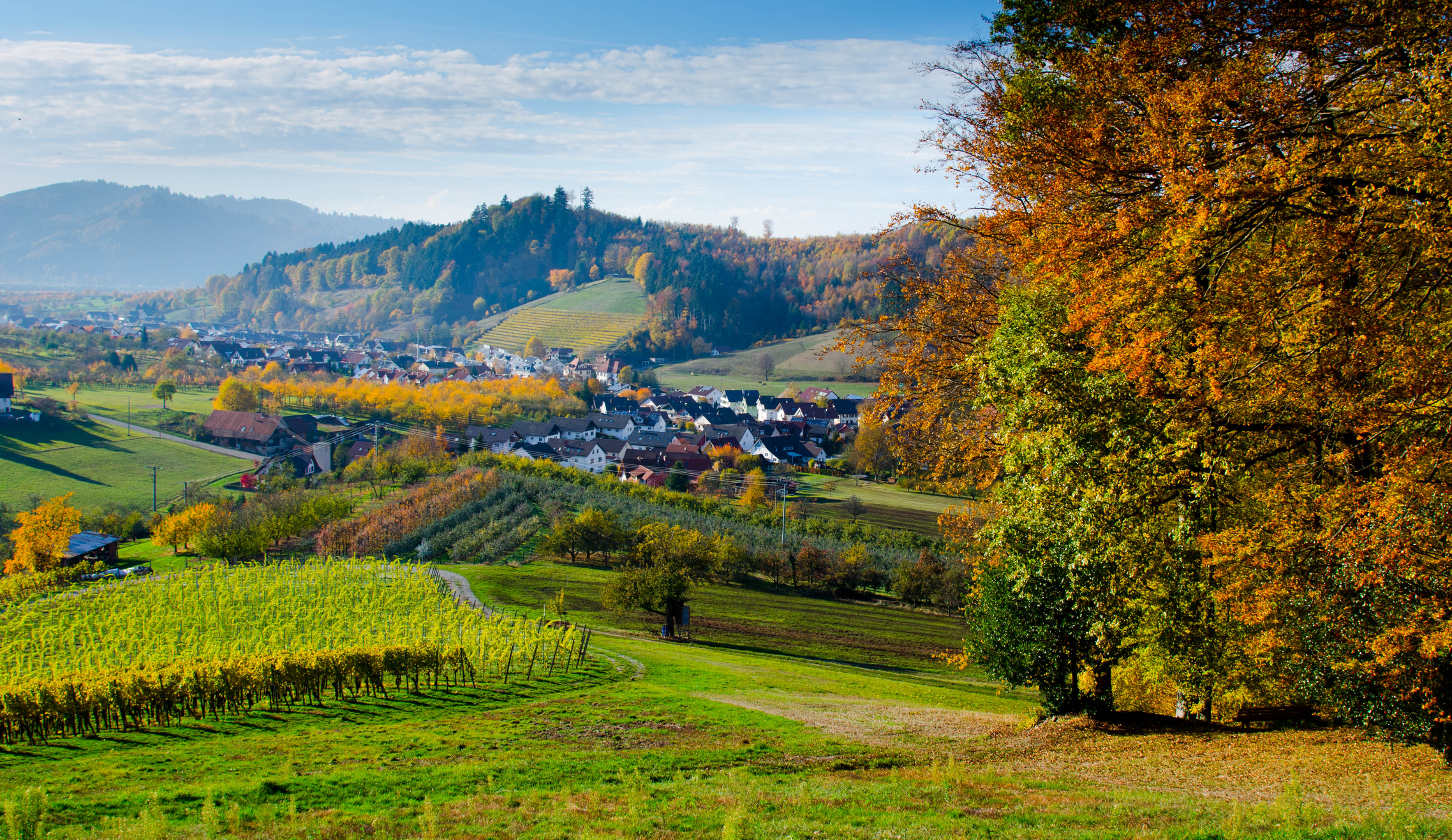 autumn in the Black Forest near Gengenbach, Germany