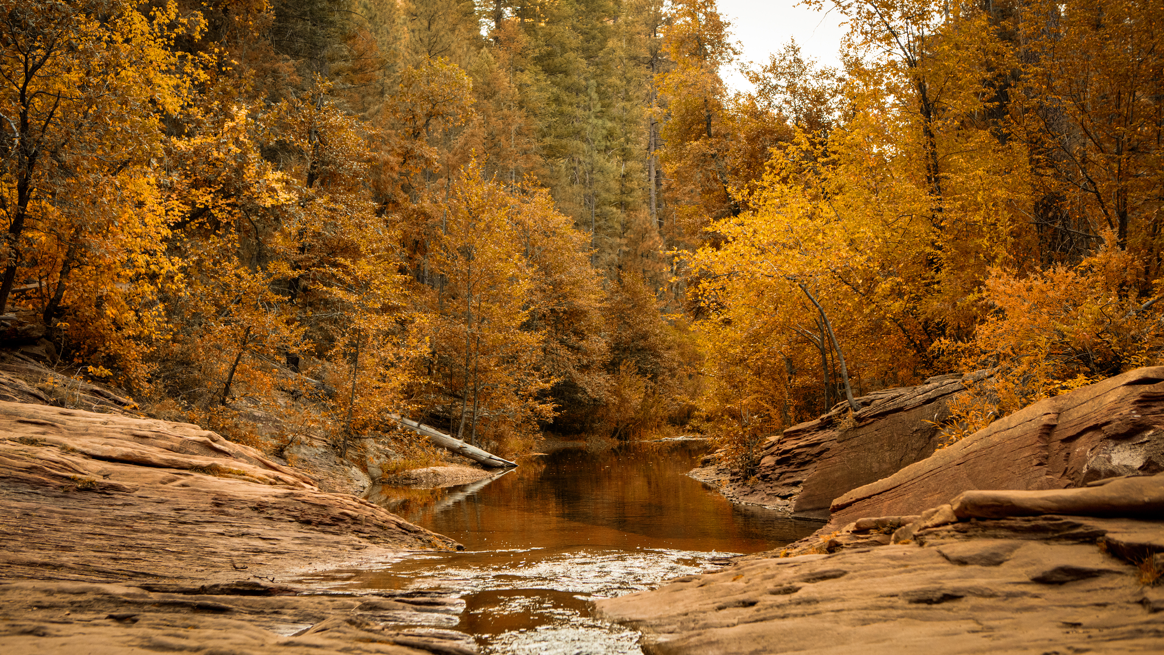 Oak Creek Canyon, Sedona