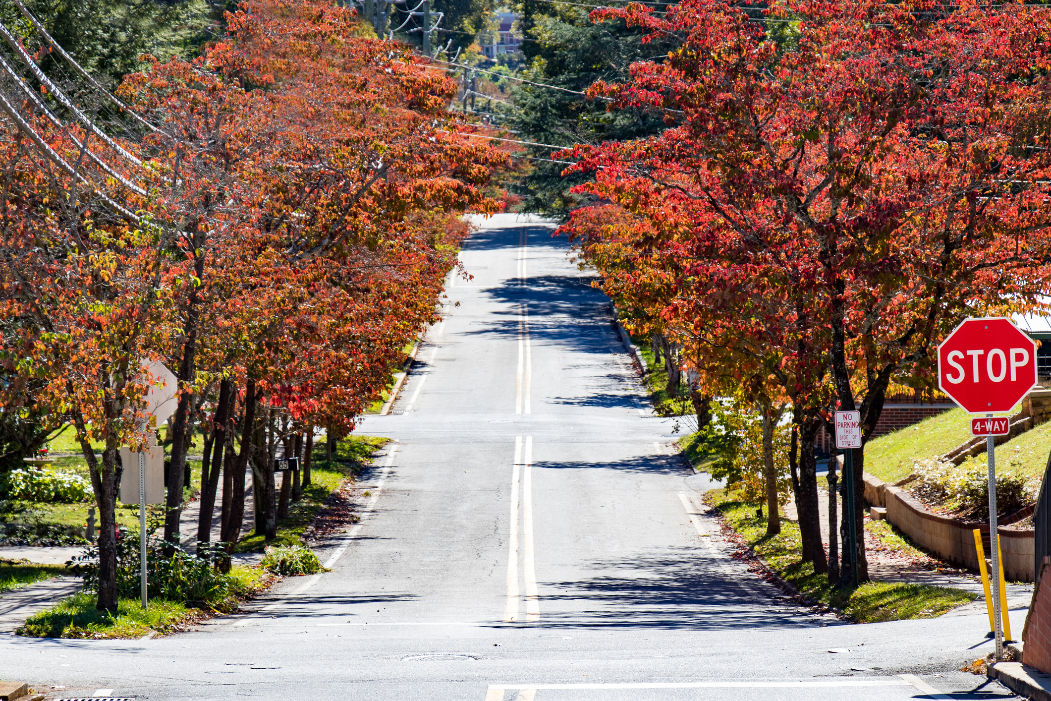 Dahlonega, Georgia in the fall