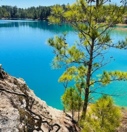 Foreground is large rocky terrain and the background is turquoise blue water of Blue Lagoon, trees line the shore