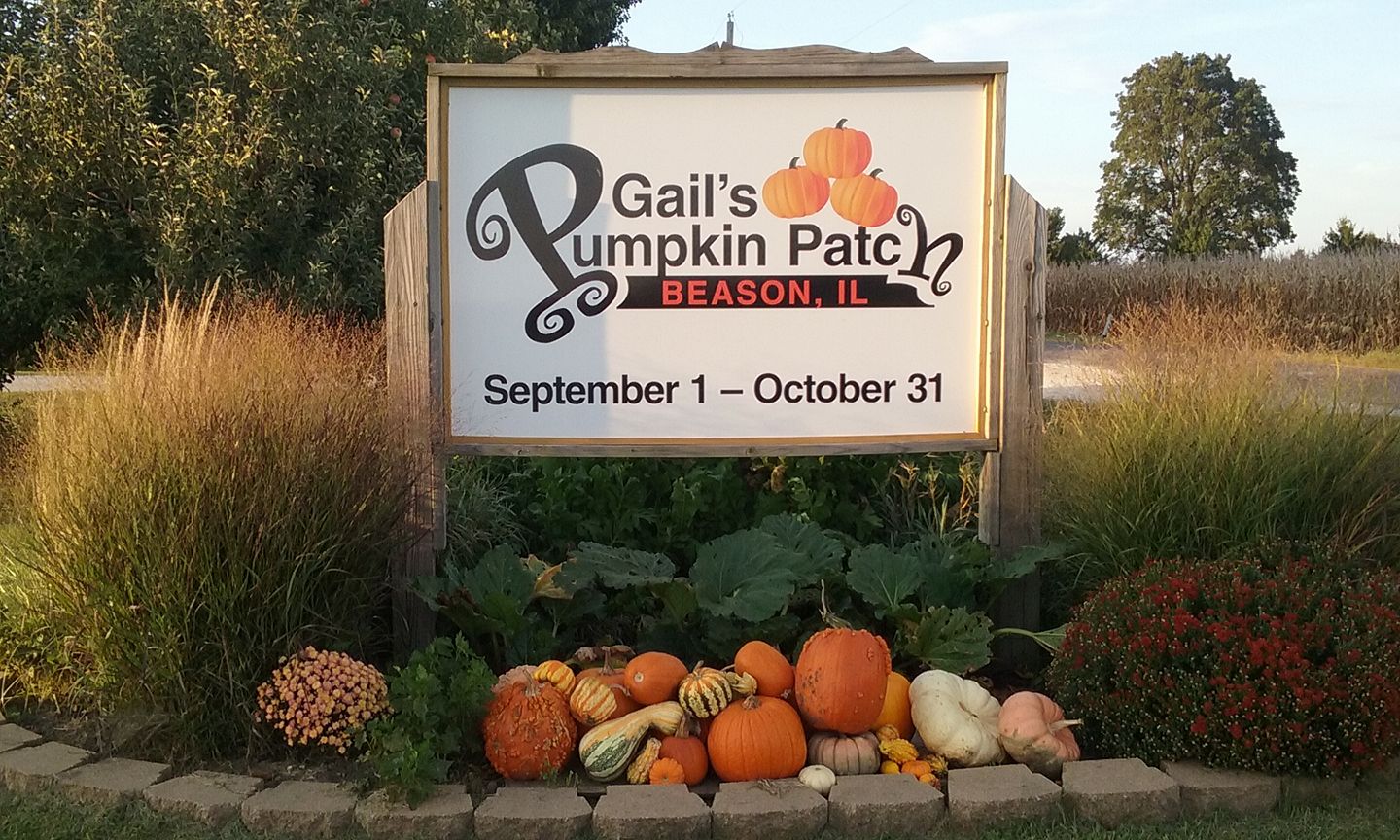 Gails Pumpkin Patch