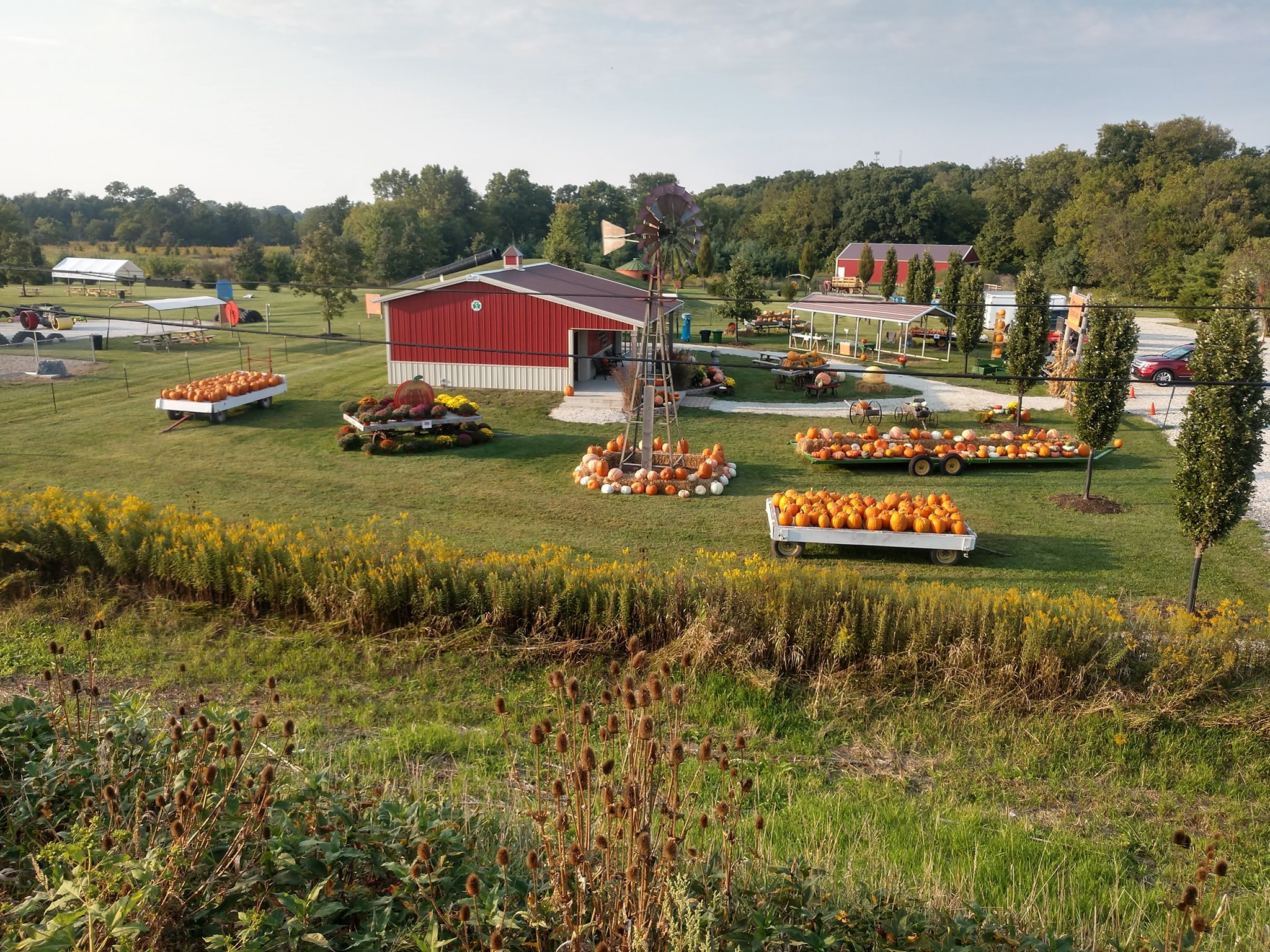 Check out the playground, treats, and gift shop