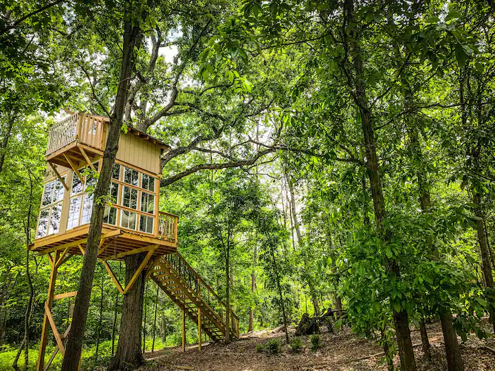 A lovely treehouse in a peaceful forest 