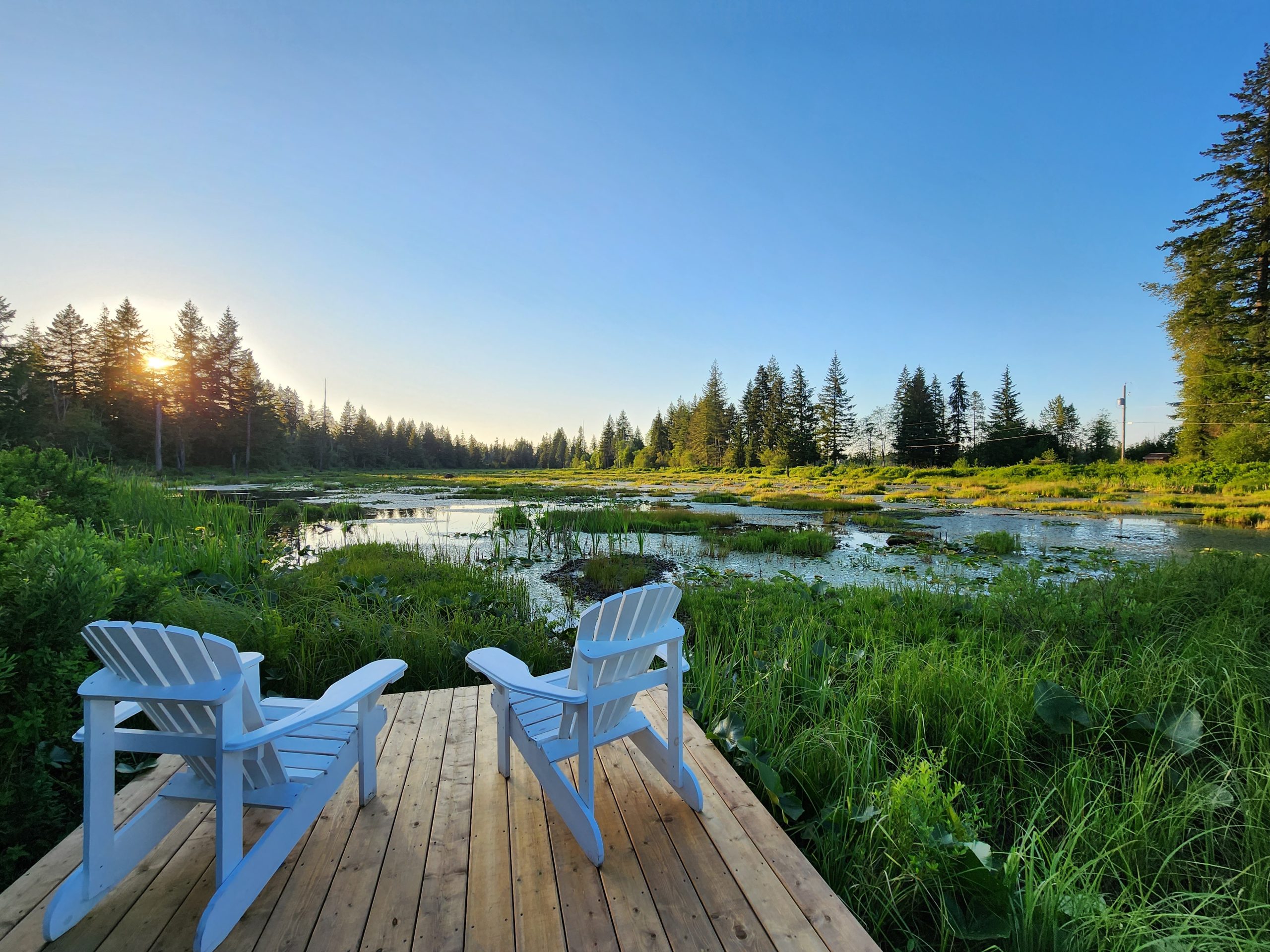 Cozy Cottage - Country Retreat with Wetland Views - Courtenay