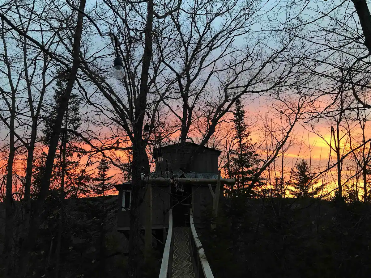 A Birds Eye View Tree House